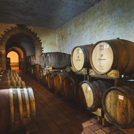 Отель Wine Cattunar