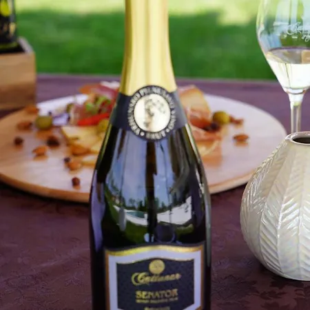 Отель Wine Cattunar Бртонигла