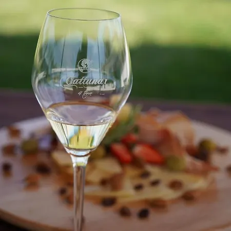 Wine Cattunar 5*