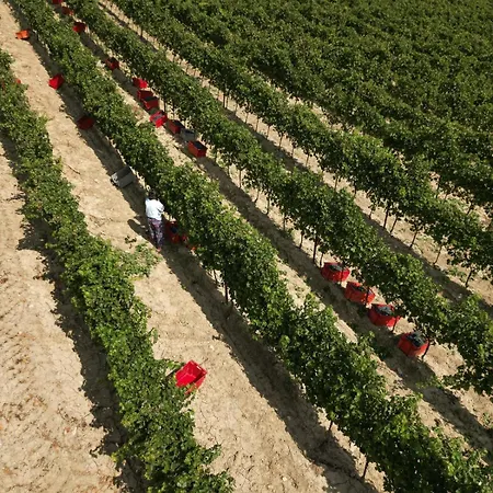 Wine Cattunar Отель Бртонигла