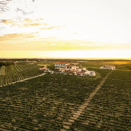 Wine Cattunar Ξενοδοχείο Brtonigla