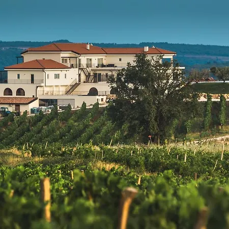 Hotel Wine Cattunar Brtonigla