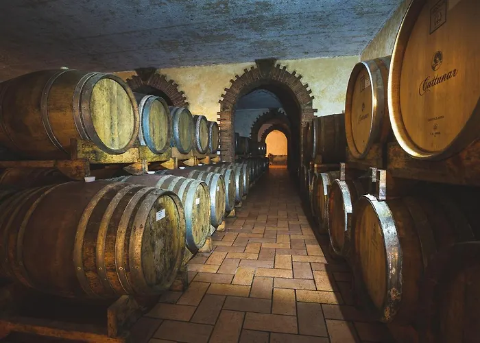 호텔 Wine Cattunar 5*