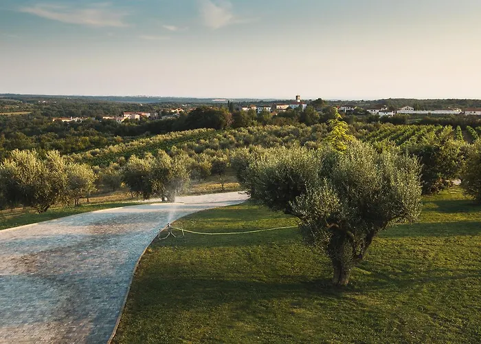 호텔 Wine Cattunar