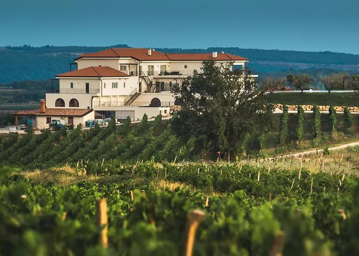 호텔 Wine Cattunar 브르토니글라