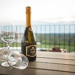 Wine Cattunar Brtonigla
