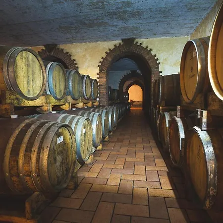 호텔 Wine Cattunar 5*