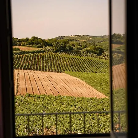 Wine Cattunar