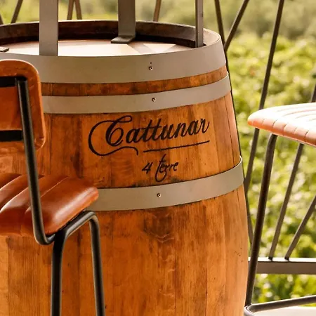 Wine Cattunar 호텔 5*