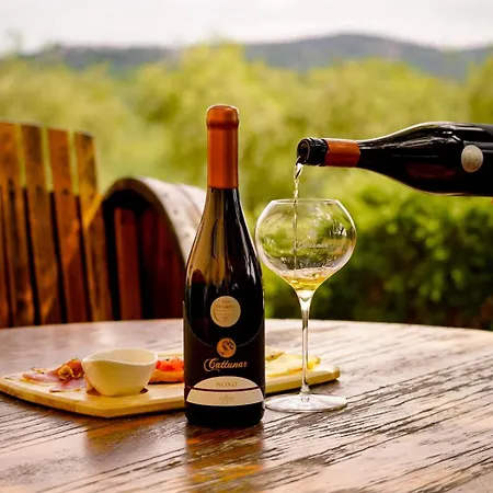 Wine Cattunar