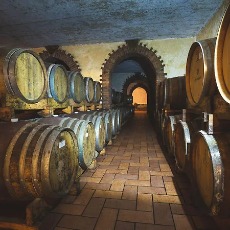 Hotel Wine Cattunar