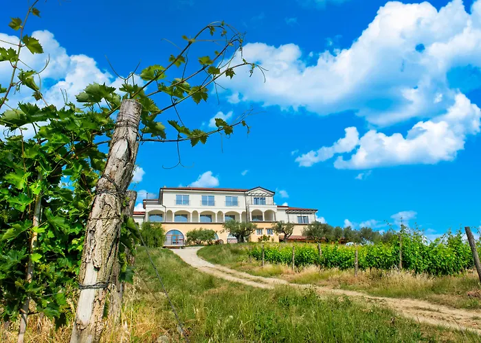 Wine Cattunar Brtonigla